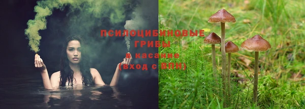 соль ск Аркадак